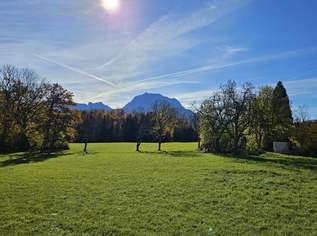 Provisionsfrei! 75 m² Obergeschosswohnung im vorderen Haus mit freiem Traunsteinblick, 338625 €, Immobilien-Wohnungen in 4694 Ohlsdorf Provisionsfrei! 75 m² Obergeschosswohnung im vorderen Haus mit freiem Traunsteinblick, 338625 €, Immobilien-Wohnungen in 4694 Ohlsdorf