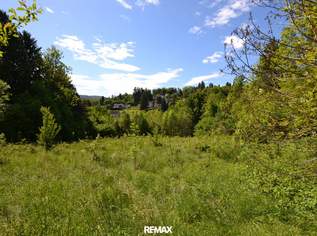 Großzügiger Baugrund in idyllischer Wohnlage von Eichgraben, 347500 €, Immobilien-Grund und Boden in 3032 Eichgraben Großzügiger Baugrund in idyllischer Wohnlage von Eichgraben, 347500 €, Immobilien-Grund und Boden in 3032 Eichgraben