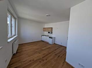 Gudrunstraße: Helle 3-Zimmer Wohnung, 1295 €, Immobilien-Wohnungen in 1100 Favoriten