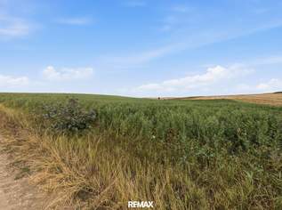 Landwirtschaftliche Fläche mit 7026 m² in Untermallebern zu verkaufen!, 69000 €, Immobilien-Grund und Boden in 2011 Untermallebarn