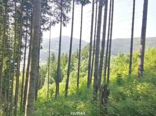 Wald in Steinhaus, 33700 €, Immobilien-Gewerbeobjekte in 8684 Steinhaus am Semmering Wald in Steinhaus, 33700 €, Immobilien-Gewerbeobjekte in 8684 Steinhaus am Semmering
