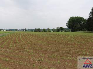 Acker im Machland, 0 €, Immobilien-Grund und Boden in 4343 Am Bühel Acker im Machland, 0 €, Immobilien-Grund und Boden in 4343 Am Bühel