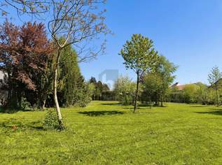 RARITÄT IN ASCHBACH 1.264 M² GESAMTFLÄCHE, VOLL AUFGESCHLOSSEN OHNE BAUZWANG!, 0 €, Immobilien-Grund und Boden in 3361 Aschbach-Markt RARITÄT IN ASCHBACH 1.264 M² GESAMTFLÄCHE, VOLL AUFGESCHLOSSEN OHNE BAUZWANG!, 0 €, Immobilien-Grund und Boden in 3361 Aschbach-Markt