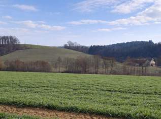 Landwirtschaftliche Nutzflächen in St. Agatha / Waizenkirchen, 0 €, Immobilien-Grund und Boden in 4084 St. Agatha