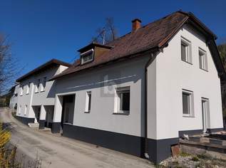 PREISHIT! ZWEI EINHEITEN UND VIEL PLATZ!, 330000 €, Immobilien-Häuser in 9131 Grafenstein
