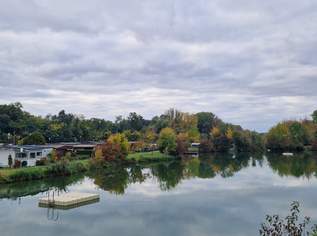 EXQUISITES Mobilheim auf Pachtgrund am Privatsee, 2340 €, Immobilien-Häuser in 3133 Traismauer