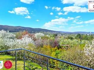 Luxus, Stil und ganz viel Wohngefühl ✨, 1390000 €, Immobilien-Häuser in 2340 Gemeinde Mödling Luxus, Stil und ganz viel Wohngefühl ✨, 1390000 €, Immobilien-Häuser in 2340 Gemeinde Mödling