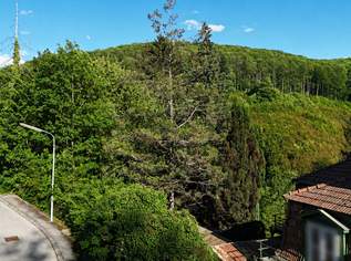 Sonniges Bauträgergrundstück auf der Sophienalpe – bewilligbares Doppelhausprojekt in Grünruhelage, 595000 €, Immobilien-Grund und Boden in 1140 Penzing Sonniges Bauträgergrundstück auf der Sophienalpe – bewilligbares Doppelhausprojekt in Grünruhelage, 595000 €, Immobilien-Grund und Boden in 1140 Penzing