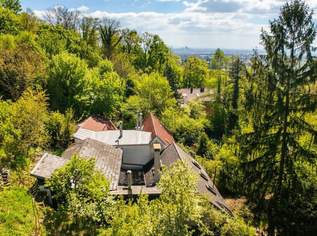 Ehemaliges Weinhauerhaus in einzigartiger Sieveringer Lage wartet auf Revitalisierung!, 1290000 €, Immobilien-Häuser in 1190 Döbling