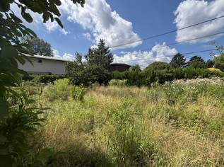 Unbebautes, sonniges Grundstück auf EIGENGRUND in schöner Kleingartenanlage, 1210!, 239000 €, Immobilien-Grund und Boden in 1210 Floridsdorf