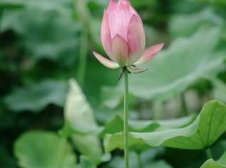 Entspannende Massage bei Wien, 63 €, Marktplatz-Beauty, Gesundheit & Wellness in 1140 Penzing