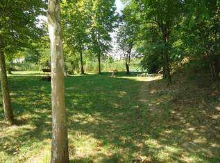Clubhaus am See In der Ungarischen Pusta, 150 €, Immobilien-Häuser in 7072 Mörbisch am See Clubhaus am See In der Ungarischen Pusta, 150 €, Immobilien-Häuser in 7072 Mörbisch am See