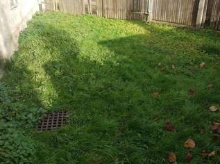 Stadthaus in Waizenkirchen!, 110000 €, Immobilien-Häuser in 4730 Waizenkirchen