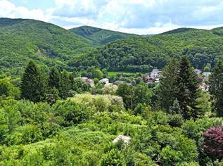 Baugrund in Südlage am Sagberg - TEILBAR in drei Parzellen!, 880000 €, Immobilien-Grund und Boden in 3002 Purkersdorf