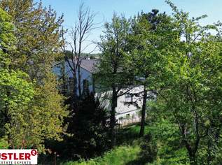 Mehrgenerationenhaus mit 2 eigenständigen Wohneinheiten, 799000 €, Immobilien-Häuser in 2345 Brunn am Gebirge Mehrgenerationenhaus mit 2 eigenständigen Wohneinheiten, 799000 €, Immobilien-Häuser in 2345 Brunn am Gebirge