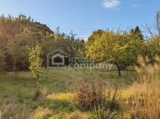 🌿 Wunderschönes Grundstück in bester Lage – vielseitig bebaubar mit zwei Wohneinheiten, 390000 €, Immobilien-Grund und Boden in 2721 Bad Fischau