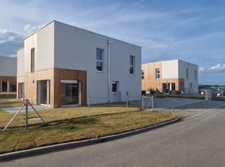 7 Zwerge in Altenburg - Ihr Haus mit viel Wohnqualität für leistbares Geld - Haus 4, 365000 €, Immobilien-Häuser in 3591 Altenburg 7 Zwerge in Altenburg - Ihr Haus mit viel Wohnqualität für leistbares Geld - Haus 4, 365000 €, Immobilien-Häuser in 3591 Altenburg