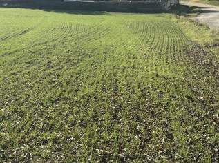 SONNIGE LEBENSQUALITÄT AM LAND FÜR IHR PRIVATES EINFAMILIENHAUS OHNE BAUZWANG, 75150 €, Immobilien-Grund und Boden in 3701 Ameistal SONNIGE LEBENSQUALITÄT AM LAND FÜR IHR PRIVATES EINFAMILIENHAUS OHNE BAUZWANG, 75150 €, Immobilien-Grund und Boden in 3701 Ameistal