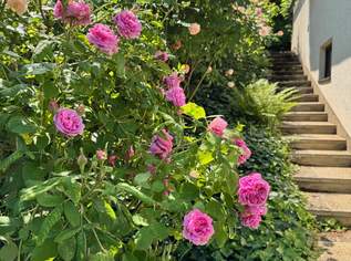 Provisionsfrei - Kritzendorf 1600 m2 uneinsichtiges Gartenparadies. Wohntraum in absoluter Grünruhelage