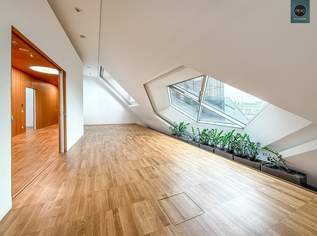 Bestlage! Repräsentative Büroflächen im DG eines Palais an Topadresse nahe Freyung & Herrengasse! Klimatisiert!, 25 €, Immobilien-Gewerbeobjekte in 1010 Innere Stadt