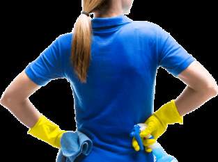 Fleissige, zuverlässige PUTZPERLE gesucht für Wien 21, Wohnung 70 m2, Dienstleister & Stellen-Dienstleister in Österreich Fleissige, zuverlässige PUTZPERLE gesucht für Wien 21, Wohnung 70 m2, Dienstleister & Stellen-Dienstleister in Österreich