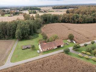 Älteres Bauerngehöft mit 2,6 Hektar umliegenden Wiesen und Waldgrund - Verdoppelung möglich - alter Rohbaukeller vorhanden, 248000 €, Immobilien-Häuser in 8483 Deutsch Goritz