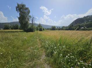 Attraktives Bauland Kurgebiet Aufschließungsgebiet mit 6.855 m² in SEENÄHE - ein Standort für Wohnprojekte oder Tourismus, 0 €, Immobilien-Grund und Boden in 9873 Döbriach