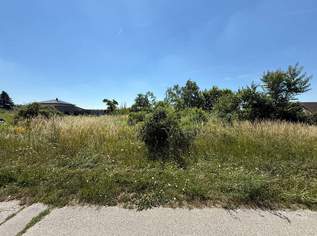 Grundstücke in Gänserndorf Stadt – 700 m², kein Bauzwang, mehrere Einheiten möglich!, 266000 €, Immobilien-Grund und Boden in 2230 Gemeinde Gänserndorf