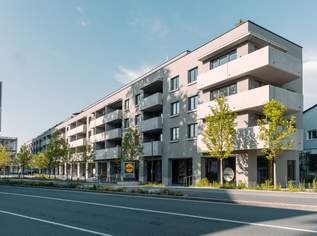 *** Neubau *** Attraktive Geschäftsflächen vis á vis vom Bezirksgericht in Klagenfurt, 11.95 €, Immobilien-Gewerbeobjekte in 9020 