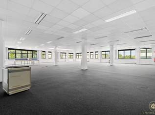 Gepflegte Industriefläche 500m² in 1230 Wien um €4.001,12 zur Miete, 4001.12 €, Immobilien-Gewerbeobjekte in 1230 Liesing