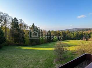 ALLEINLAGE IM GRÜNEN – ein Ort für Menschen, die Freiheit, Ruhe und Natur lieben!, 497000 €, Immobilien-Häuser in 2821 Schleinz