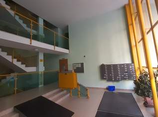 Neu adaptierte 3-Zimmer-Wohnung in Ruhelage zu vermieten , 1500 €, Immobilien-Wohnungen in 1100 Favoriten