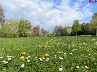 Quartier am Park: Barrierefreie Wohnung im obersten Stock mit Ausblick, 427060 €, Immobilien-Wohnungen in Oberösterreich