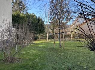 Charmante Terrassenwohnung in Mödling, 900.2 €, Immobilien-Wohnungen in 2340 Gemeinde Mödling