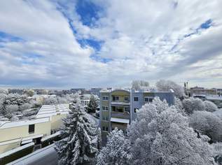 Zentrumslage, hell und freundlich!, 249900 €, Immobilien-Wohnungen in Niederösterreich