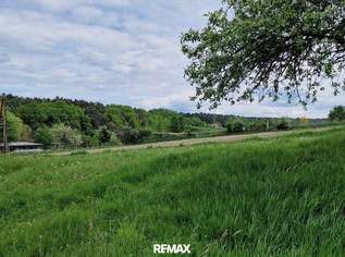 Idyllisches Baugrundstück in Lindegg – Lebensqualität inmitten der Thermenregion., 70000 €, Immobilien-Grund und Boden in 8283 Lindegg Idyllisches Baugrundstück in Lindegg – Lebensqualität inmitten der Thermenregion., 70000 €, Immobilien-Grund und Boden in 8283 Lindegg