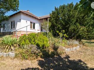 Seewinkel Hideaway - charmanter Bungalow mit Riesengarten, 145000 €, Immobilien-Häuser in 7162 Tadten Seewinkel Hideaway - charmanter Bungalow mit Riesengarten, 145000 €, Immobilien-Häuser in 7162 Tadten