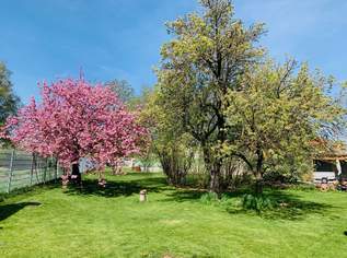 Haus mit traumhaftem Garten in Lanzendorf | 6 Zimmer, 4 Autostellplätze | Auch als Mehrfamilienhaus nutzbar | Am Naherholungsgebiet Zayawiesen, 490000 €, Immobilien-Häuser in 2130 Mistelbach Haus mit traumhaftem Garten in Lanzendorf | 6 Zimmer, 4 Autostellplätze | Auch als Mehrfamilienhaus nutzbar | Am Naherholungsgebiet Zayawiesen, 490000 €, Immobilien-Häuser in 2130 Mistelbach