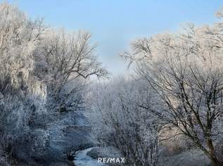 Dachgeschoß-Wohnung mit Terrasse an der Liesing, 319000 €, Immobilien-Wohnungen in 1230 Liesing