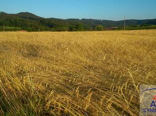 Großes ebenes Grundstück!, 0 €, Immobilien-Grund und Boden in 8282 Dietersdorf bei Fürstenfeld Großes ebenes Grundstück!, 0 €, Immobilien-Grund und Boden in 8282 Dietersdorf bei Fürstenfeld