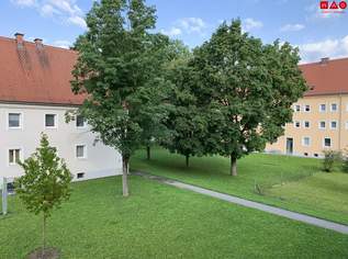 Grünes, ruhiges und idyllisches Wohnerlebnis verspricht Erholung pur - perfekt für Paare oder kleine Familien! Tolle Raumaufteilung, hell und freundlich! Sofort verfügbar!, 602.02 €, Immobilien-Wohnungen in 4400 Steyr