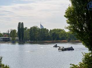 Exklusives Wohnen nahe Alte Donau, Donauzentrum & U1 Kagran: 74 Eigentums- & Vorsorgewohnungen, 345500 €, Immobilien-Wohnungen in 1220 Donaustadt Exklusives Wohnen nahe Alte Donau, Donauzentrum & U1 Kagran: 74 Eigentums- & Vorsorgewohnungen, 345500 €, Immobilien-Wohnungen in 1220 Donaustadt