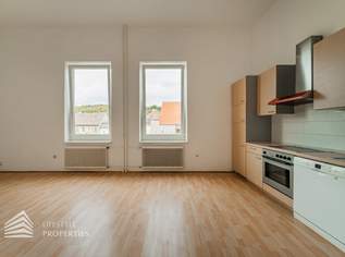 Helle 1-Zimmer Wohnung in Krems an der Donau, Nähe Göglhaus, 741.23 €, Immobilien-Wohnungen in 3500 Am Steindl