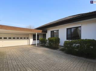 Traumhafter Bungalow mit Indoor-Pool, Weinkeller & großem Garten auf Eigengrund, 995000 €, Immobilien-Häuser in 2230 Gemeinde Gänserndorf Traumhafter Bungalow mit Indoor-Pool, Weinkeller & großem Garten auf Eigengrund, 995000 €, Immobilien-Häuser in 2230 Gemeinde Gänserndorf