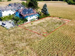 immo-live! Baugrund in Traismauer ohne Bauzwang, 98000 €, Immobilien-Grund und Boden in 3133 Traismauer immo-live! Baugrund in Traismauer ohne Bauzwang, 98000 €, Immobilien-Grund und Boden in 3133 Traismauer
