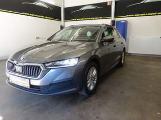 Octavia Ambition, 27900 €, Auto & Fahrrad-Autos in 6706 Gemeinde Bürs