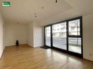 Repräsentative Büro- oder Geschäftsfläche in Bestlage auf der Wagramer Straße - ab 01.01.2026 verfügbar!, 748.69 €, Immobilien-Gewerbeobjekte in 1220 Donaustadt