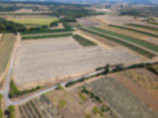 Landwirtschaftliches Grundstück in der KG Bockfließ - 4277m2, 0 €, Immobilien-Gewerbeobjekte in 2213 Bockfließ Landwirtschaftliches Grundstück in der KG Bockfließ - 4277m2, 0 €, Immobilien-Gewerbeobjekte in 2213 Bockfließ