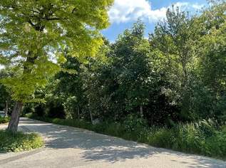 Modernes Wohnen, nachhaltig gedacht! Ihre Oase in Wien: Ruhige Sackgassenlage und moderner Wohnkomfort vereint, 410000 €, Immobilien-Wohnungen in 1210 Floridsdorf