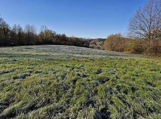 Baugrundstück in ruhiger Aussichtslage, 220000 €, Immobilien-Grund und Boden in 7551 Stegersbach